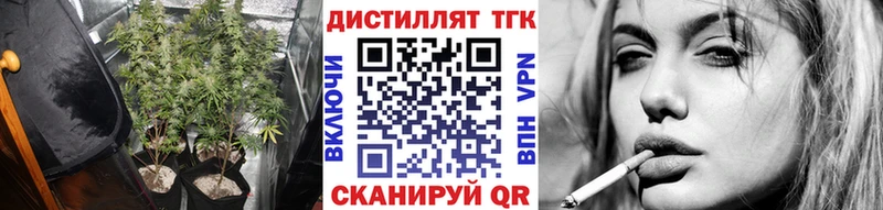 Купить где  Зеленокумск  ТГК концентрат 